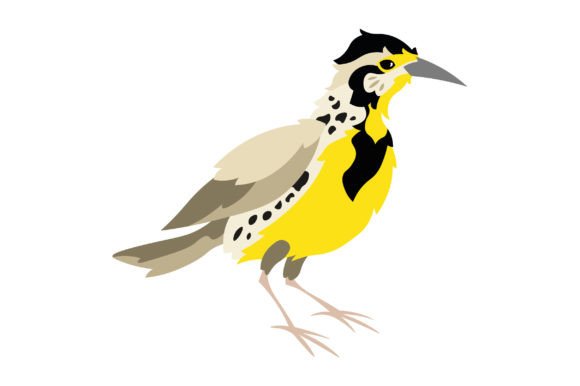 Kansas State Bird - Western Meadowlark