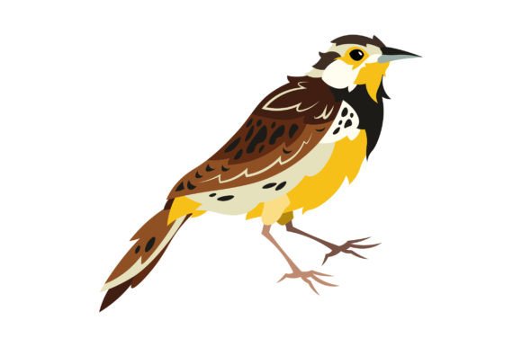 North Dakota State Bird - Western Meadowlark